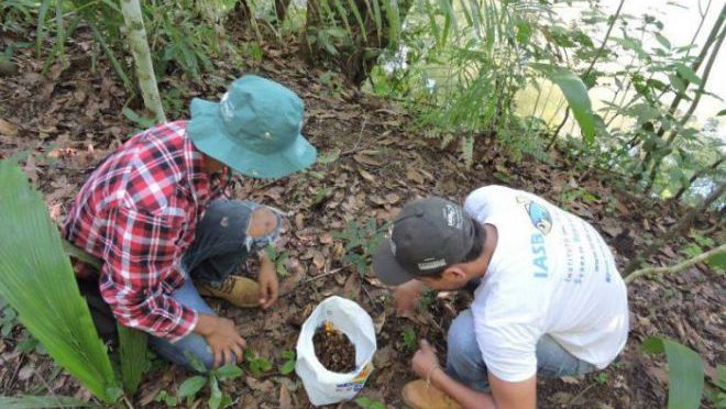 Inscrições para o curso de coleta de sementes do Cerrado e Pantanal até o dia 16 de novembro