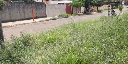 Moradores do Conjunto União, em Campo Grande, reclamam de calçada e ponto de ônibus tomados pelo mato