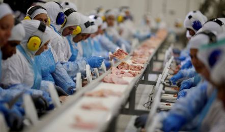 Milhares de empregos em risco: líder árabe assume que Arábia Saudita suspendeu importação de frango de 33 frigoríficos por retaliação