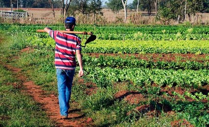 Prorrogado financiamento do crédito rural da agricultura familiar, pequenos e médios produtores impactados pelo Covid-19