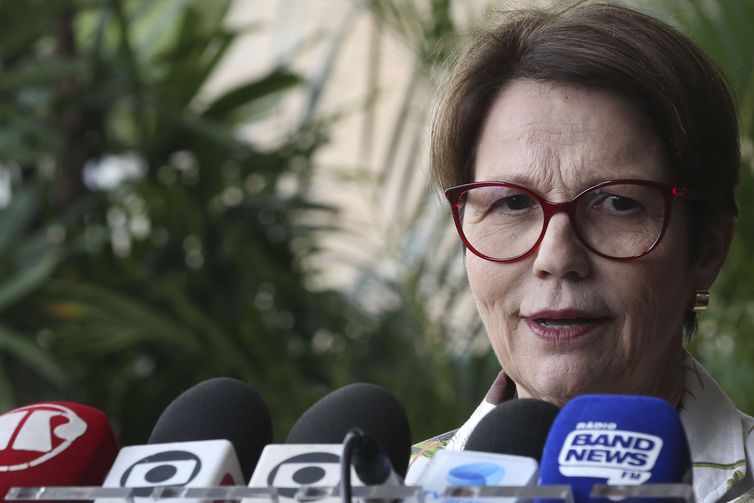 Ministra Tereza Cristina diz que governo tomou medidas para controlar preço do arroz