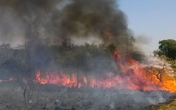 STF determina plano de combate a incêndios no Pantanal e na Amazônia