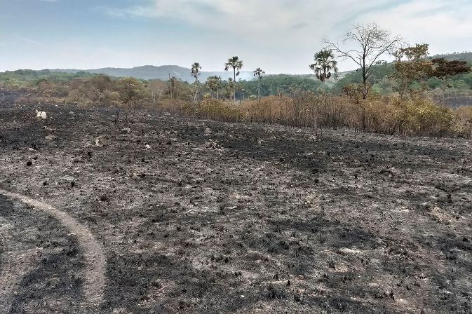 Após desbloqueio de verbas e mal-estar no governo, Ministério do Meio Ambiente diz que ações no Pantanal e Amazônia terão continuidade