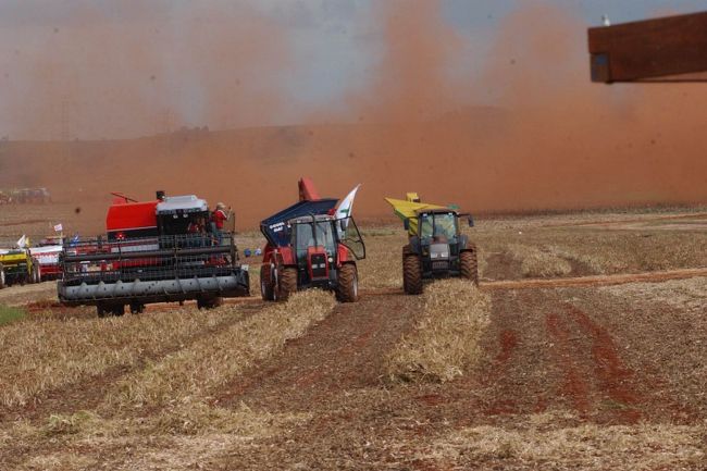 Governo reage à fala de presidente da França e afirma que soja brasileira não “exporta desmatamento”