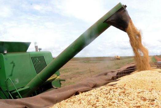 MS: exportações de soja e celulose crescem; China é o destino de 50,88% do total exportado pelo estado