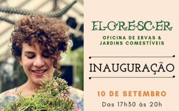 Florescer: loja voltada para quem gosta de plantas e hortas em pequenos espaços será inaugurada nesta terça em Campo Grande