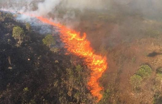 Incêndios atingem mais de 6 mil hectares na Chapada dos Guimarães