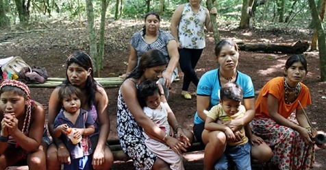 Juiz ignora decisão do STF e determina reintegração de posse contra aldeia Avá-Guarani