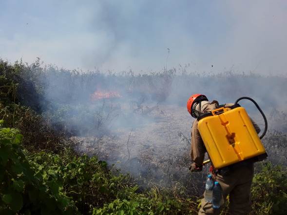 Incêndios no Pantanal: subprocurador aponta ação deficiente da administração pública
