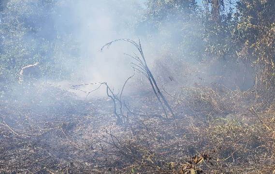 Incêndios aumentam 40% no Pantanal em relação a 2019; Corpo de Bombeiros tenta conter focos