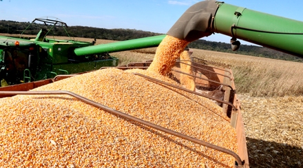 China é o destino de 79% da produção de soja exportada pelo Mato Grosso do Sul