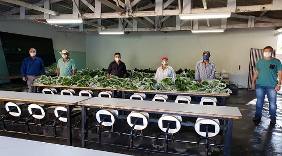 Produtos da Agricultura Familiar integram kits alimentares entregues aos alunos da rede estadual