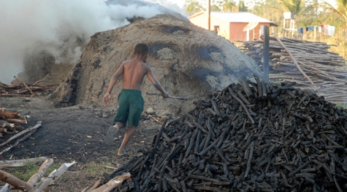 IBGE: Brasil tem 4,6% das crianças e adolescentes em trabalho infantil