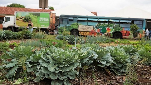 Campo Grande: prefeitura prepara projeto de lei para implantar Plano Municipal de Agricultura Urbana com dois programas: Hortas Urbanas e Agricultura Agroecológica
