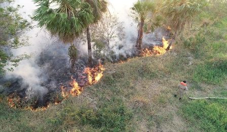 Pantanal em chamas: bombeiros e brigadistas combatem fogo; neste ano Corumbá já registra 2 mil focos