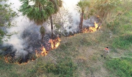 Lideranças indígenas e quilombolas denunciam devastação provocada pelas queimadas