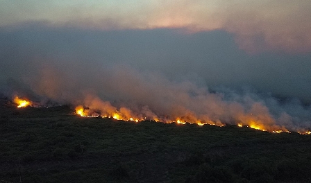 “As consequências são irreparáveis”, diz indígena Terena sobre destruição do Pantanal