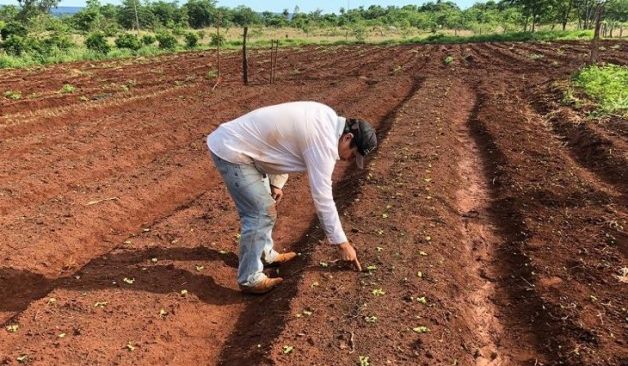 Aldeias indígenas de MS recebem visitas técnicas da Agraer; objetivo é melhorar atividades produtivas