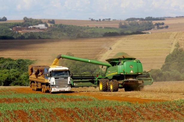 Valor da Produção Agropecuária no Brasil deve chegar a R$ 1,227 trilhão este ano