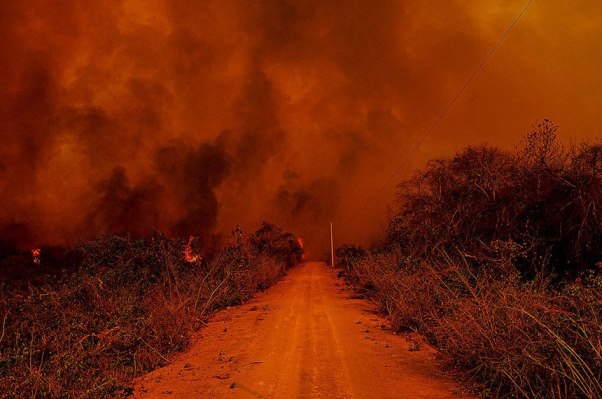 Comissão do Pantanal sugeriu brigadas permanentes e reservatórios para o combate a incêndios