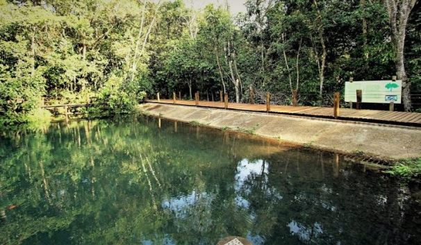 Campo Grande: mais dois vereadores assinam Projeto de Lei de Tombamento dos Parques dos Poderes, Estadual do Prosa e das Nações Indígenas