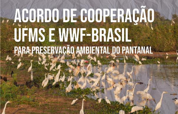 UFMS e WWF-Brasil assinam Acordo de Cooperação pela preservação do Pantanal