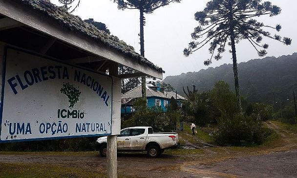 Privatização do Meio Ambiente: MMA abre edital para concessão da Floresta Nacional de Canela, no RS