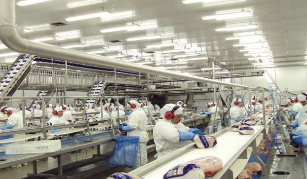 Economia: MS tem aumento quase 30% nas exportações de carnes