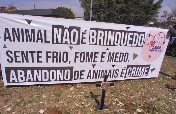 Causa animal: após protesto, audiência pública debate o bem-estar animal nesta sexta (6) em Campo Grande