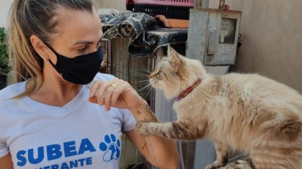 Protetores de animais em Campo Grande: aberto edital para cadastramento de ONG´s e protetores independentes