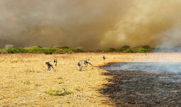Combate aos incêndios no Pantanal mobiliza 510 homens e seis aeronaves: propagação do fogo se intensificou nos últimos dias