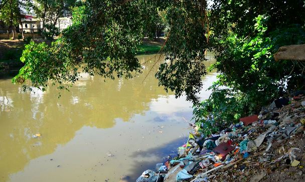 Audiência pública no dia 23 discute Política Municipal de Educação Ambiental em Campo Grande