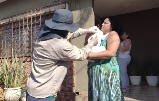 Morcego com raiva no centro de Campo Grande: CCZ inicia vacinação de cães e gatos na região central