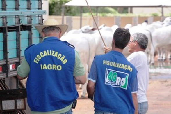 MS: Servidores da Iagro cobram reestruturação do Plano de Cargos e Carreiras e do piso salarial