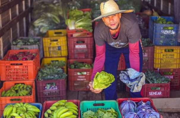 Guia Alimentar Brasileiro completa 10 anos orientando para uma alimentação saudável