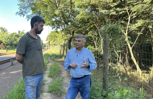 Remoção de leucenas em Campo Grande: controle de plantas invasoras na cidade é necessário