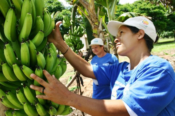 Pronatec: instituições de assistência técnica e extensão rural incluídas como executoras